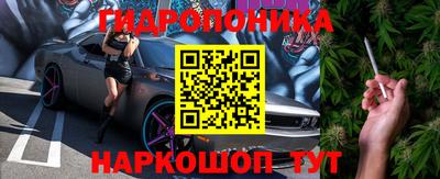 винт Бердск