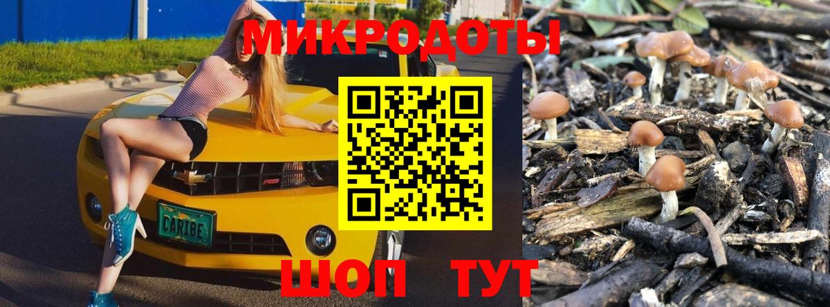 Добрянка  Галлюциногенные грибы Psilocybe  Вход с VPN 